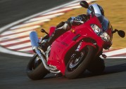 Triumph Daytona 955i Triumph Daytona 955i